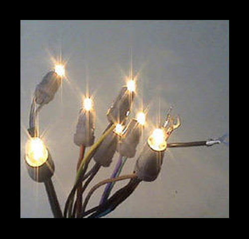 Chiranjivee Products